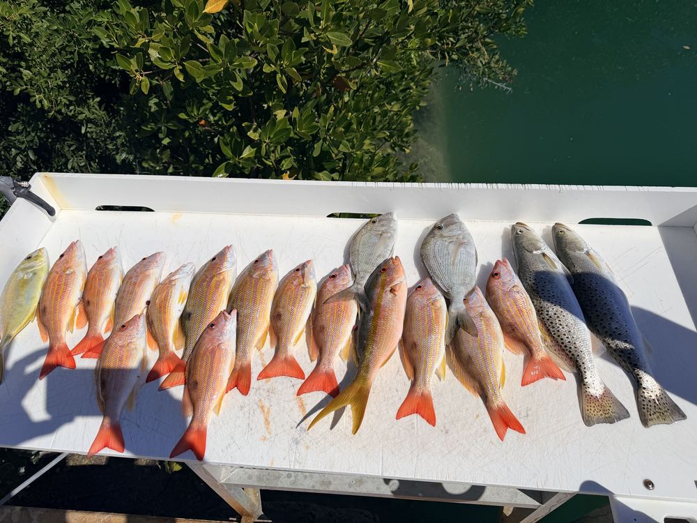 Light Tackle in the Lower Florida Keys