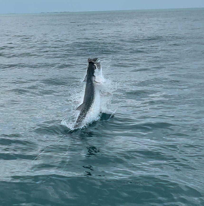 Fishing the Lower Florida Keys with Kingfisher Backcountry Charters